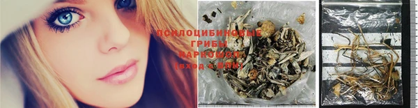 сатива Алзамай