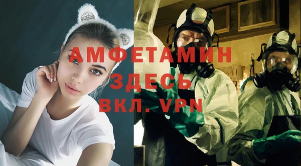сатива Алзамай