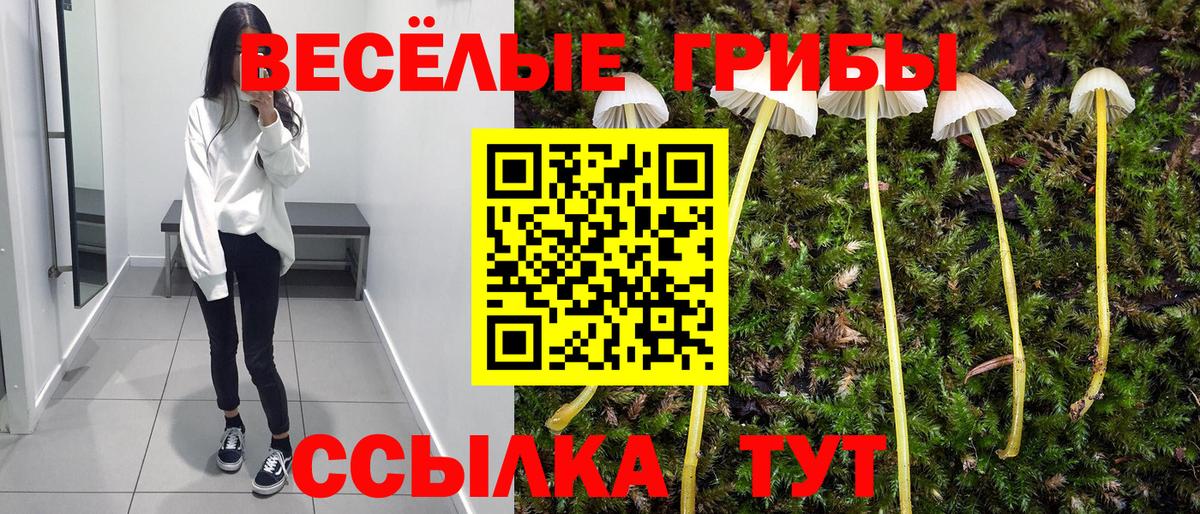 Ржев  Псилоцибиновые грибы GOLDEN TEACHER  Вход с VPN 