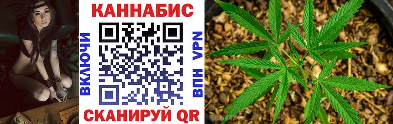 Бошки марихуана сатива  дарнет шоп  Ржев 